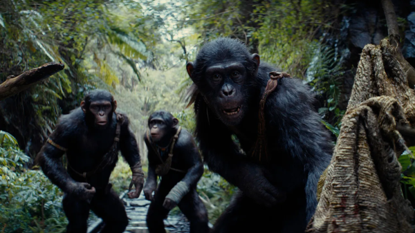 Kingdom of the planet of the apes